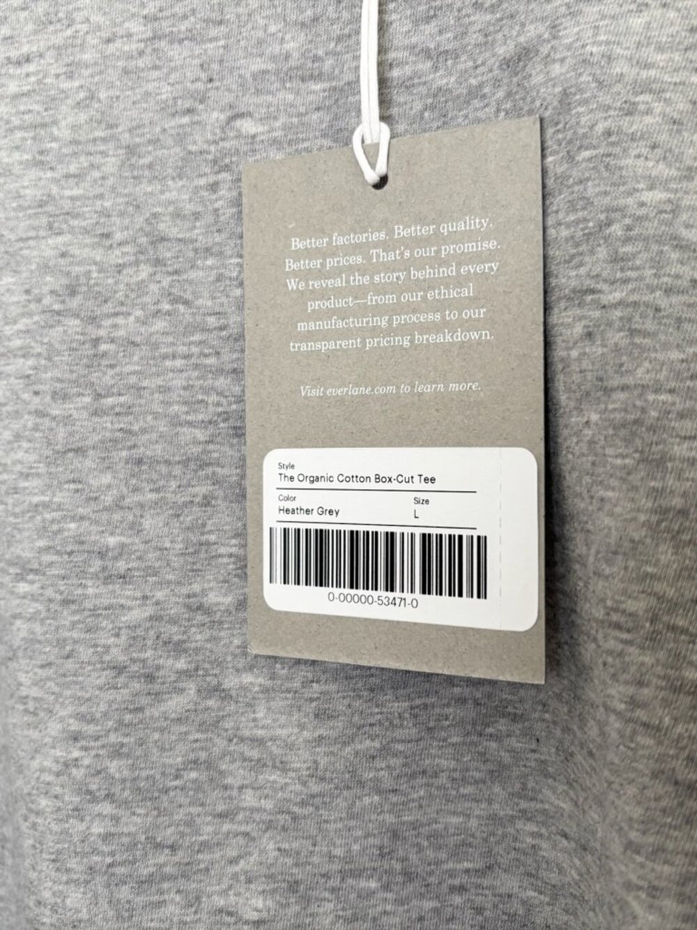 Everlane the Organic Cotton Box-Cut Tee - Picture 3 of 4